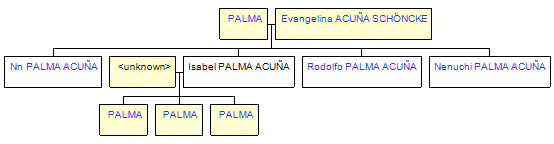 Mini tree diagram
